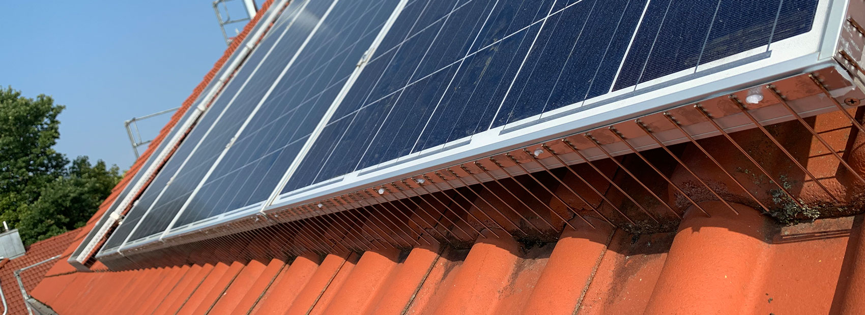 Taubenspitzen an einer PV-Anlage